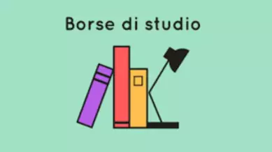 borse di studio