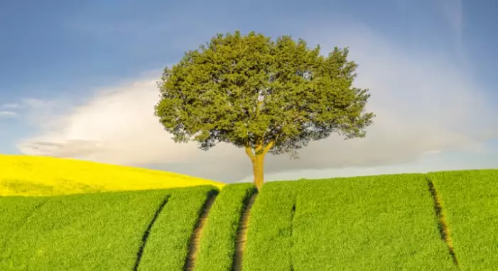 variazioni colturali